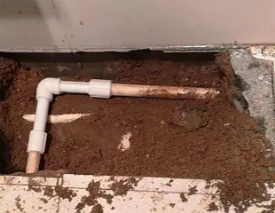 南乐测漏水哪家好