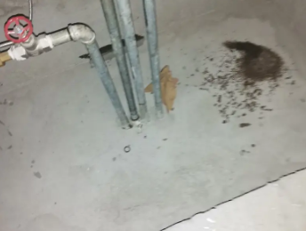 南乐卫生间测漏水价格明细