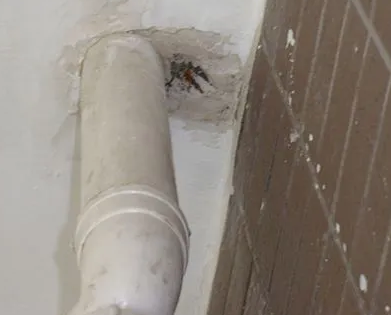 南乐漏水检测哪家好